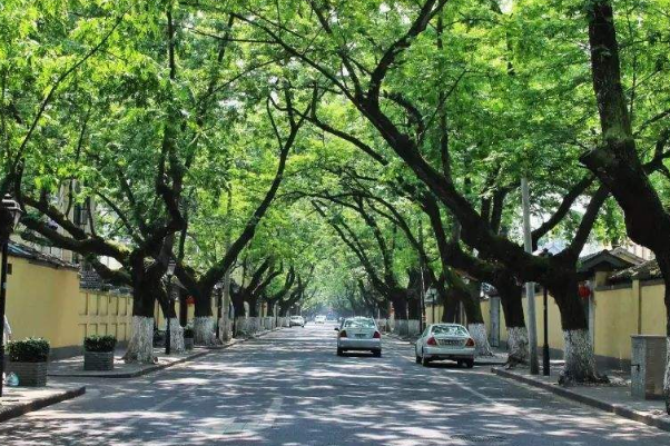 南京热门景点_南京十大网红景点排行榜