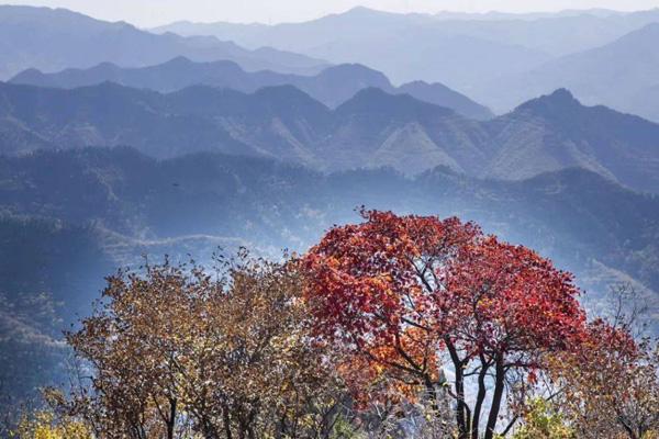 淄博齐山风景区旅游攻略 一日游攻略