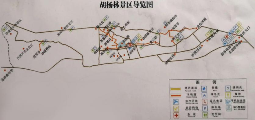 2023甘肃酒泉金塔沙漠胡杨林旅游攻略 - 门票价格 - 最佳时间 - 自驾游攻略 - 地址 - 电话 - 天气