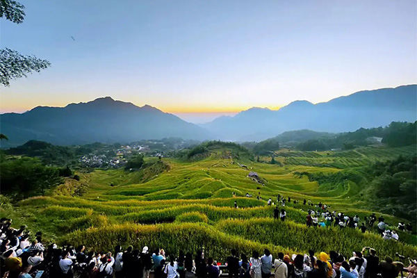 浙江云和梯田景区门票价格及交通地址一览