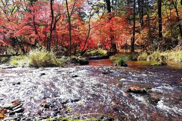 白山市秋季精品自驾游线路推荐