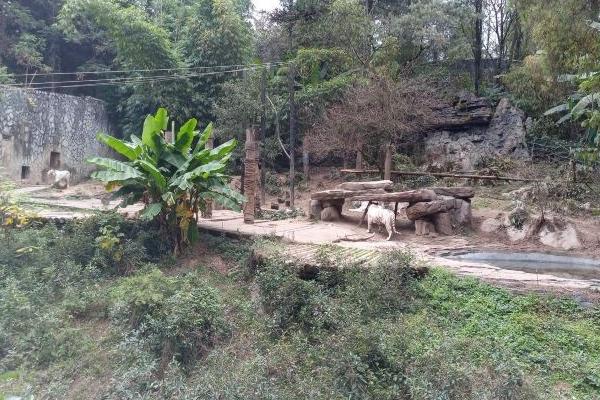 贵州森林野生动物园门票价格及交通地址和游玩指南