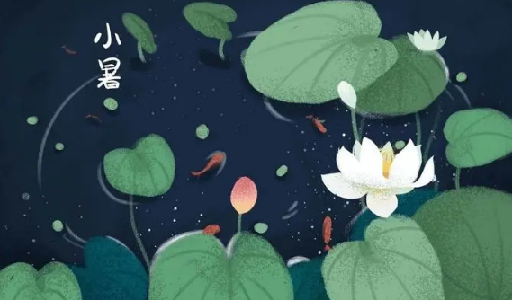 2024小暑是什么时候-小暑是几月几号