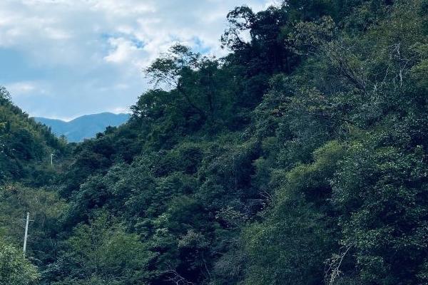 长沙适合露营的地方-长沙风景好的露营地有哪些