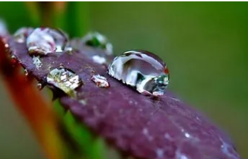 上海梅雨季节是几月份到几月份结束的