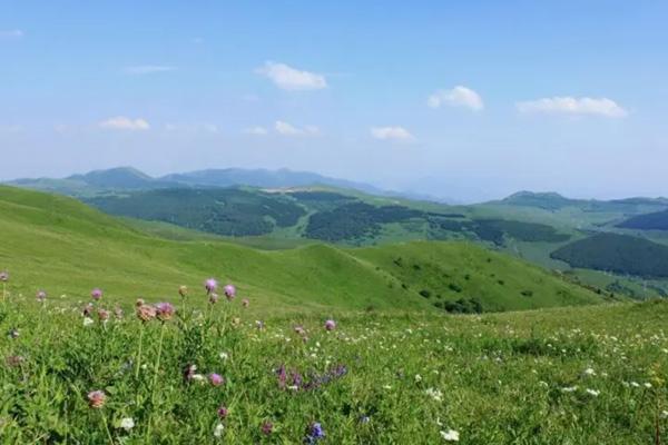 张北中都草原旅游攻略-门票价格-景点信息