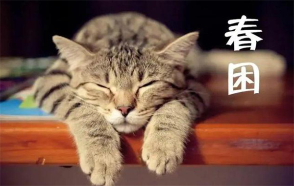 想要缓解春困以下哪种办法更有效?蚂蚁庄园3月22日答案