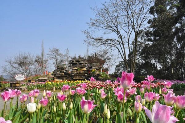 2025成都植物园开放时间及门票